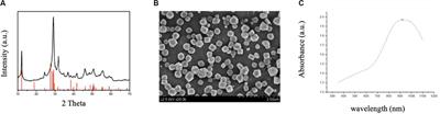 Multifunctional CuBiS2 Nanoparticles for Computed Tomography Guided Photothermal Therapy in Preventing Arterial Restenosis After Endovascular Treatment